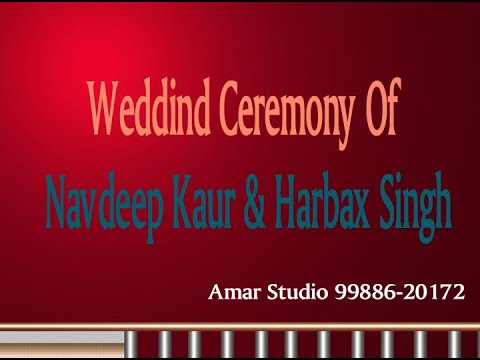 Amar Studio 9988620172
