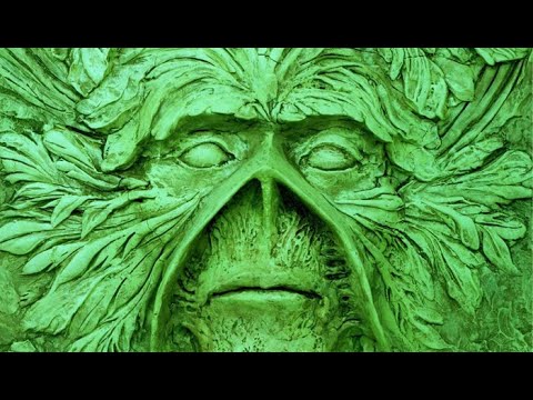 panellogy 306 - swamp thing by alan moore - absolute vol. 1