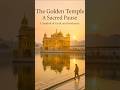 Golden Temple Goes Dark After 54 Years Shorts