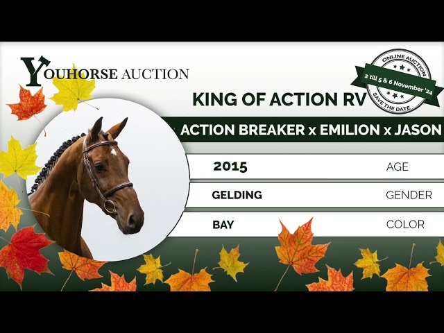 King of Action showvideo