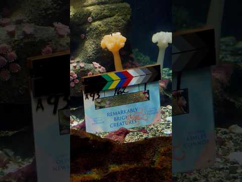 that's a wrap on Remarkably Bright Creatures