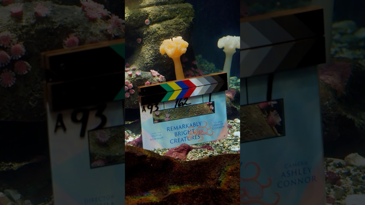 that's a wrap on Remarkably Bright Creatures