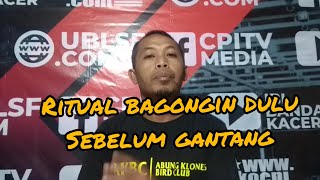 Download lagu Kacer mbangong sebelum gantang apakah ritual. mp3 Download lagu Kacer mbangong sebelum gantang apakah ritual. mp3
