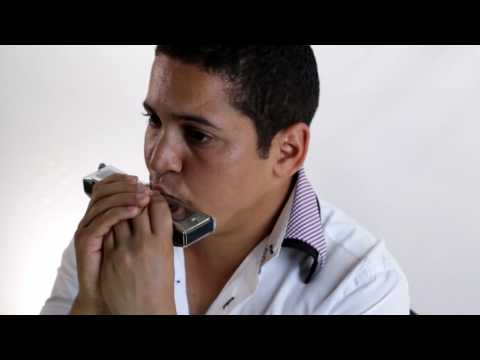 DICAS DE GAITA - AULA 1