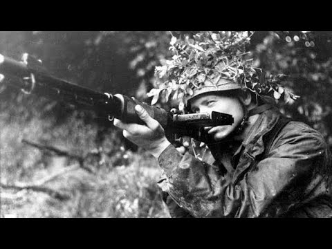 Battlefield 5 FG-42 Gameplay 71 Kills