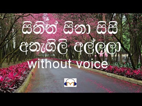 Sithin Sina Sisi Karaoke (without voice) සිතින් සිනා සිසි