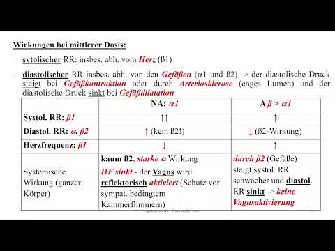 Autonomes Nervensystem 4: Adrenalin und Noradrenalin