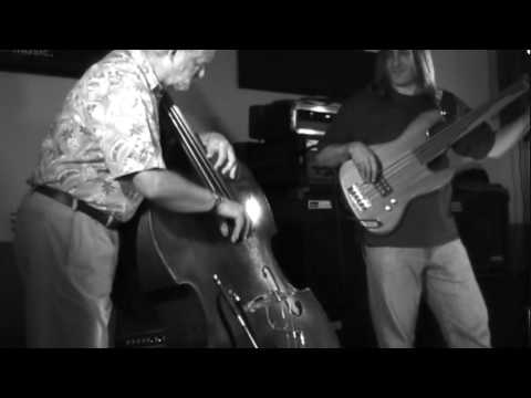 Stew McKinsey - Fretless & Bruce - Upright Bass