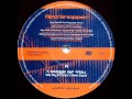 Red Snapper  -  Image of You (Salt City Orchestra Remix) (Vocal)