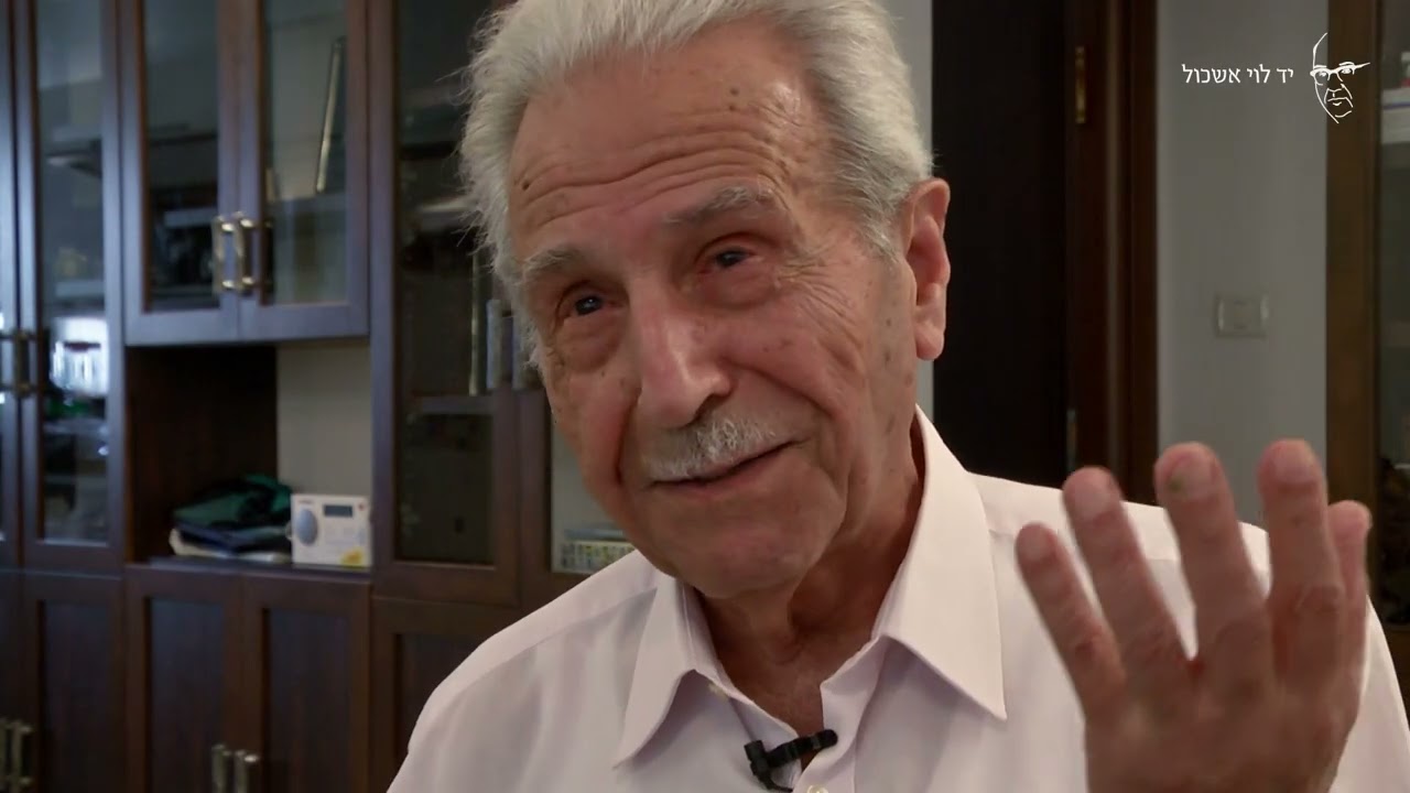 דויד פאטל  העלייה מעירק