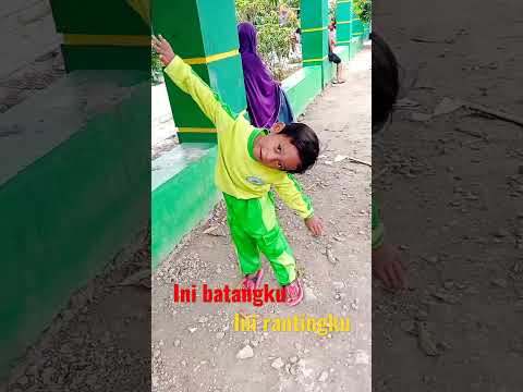 THIS IS MY TRUNK, THIS IS MY BRANCH‼️ TREE SONG