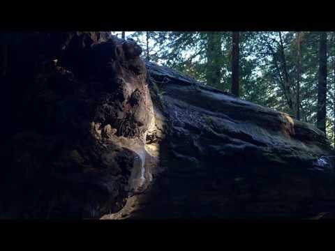 ॐ ABU - Voodoogressive (Chillgressive/Chillout/Psybient/Psychedelic Mix)ॐ