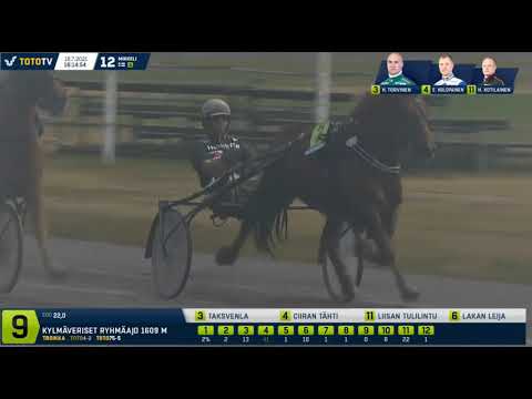 St Michel Tammatähti 2021 - Lakan Leija