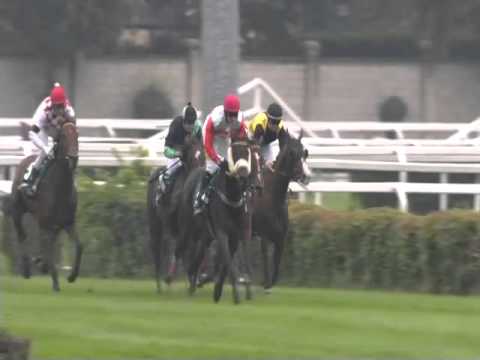 2015.10.18 Gran Corsa Siepi di Milano - Chicago