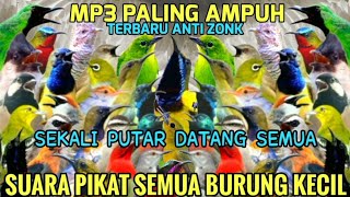 Download lagu ANTI ZONK! Suara Pikat Semua Burung Kecil 2025 - MP3 100% Ampuh mp3 Download lagu ANTI ZONK! Suara Pikat Semua Burung Kecil 2025 - MP3 100% Ampuh mp3
