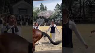 平地神明社　おまんと祭り