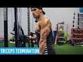 Triceps Termination - Marc Fitt