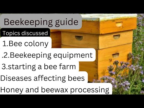 , title : 'Beekeeping | Beekeeping guide for beginners | Beekeeping getting started | apiculture honey bees'