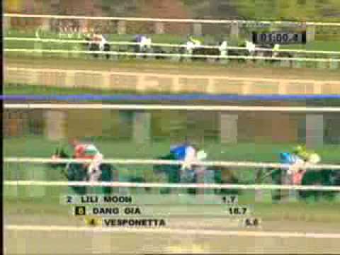 2013.10.26 Preis der Diana (AUT) - Lili Moon