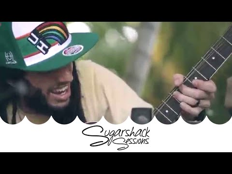 The Movement - Echo (Live Acoustic) | Sugarshack Sessions
