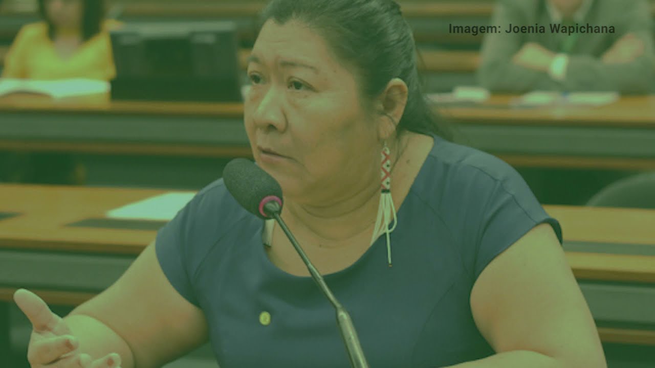 Especial: Joenia Wapichana nos 20 Anos da Declaração e Plano de Ação de Durban