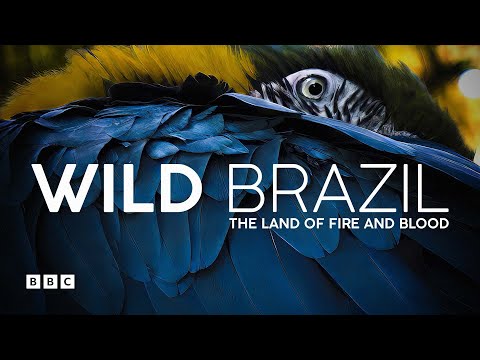 Trailer-Vorschau: Wildes Brasilien
