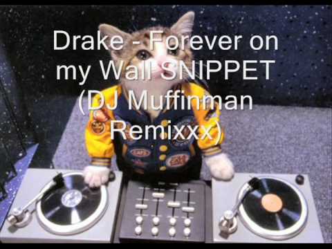 Drake - Forever On My Wall SNIPPET (DJ Muffinman Remixxx).wmv