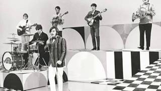 You Showed Me - The Turtles 1968