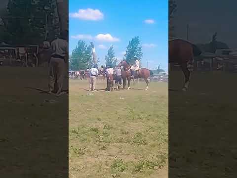 47° fiesta de la tradición buena esperanza San Luis