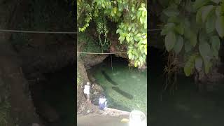 Download lagu part 2 #shortvideo #automobile #memes #viral #lawak #surigaodelnorte mp3