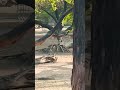 Salman Khan Ka Dusman