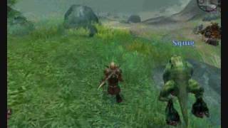 Warhammer Online Review