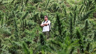 Strain Hunters RAW: Colombia - Behind the scene&#39;s with VICE - Part 4