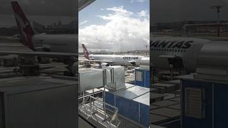 【空の旅】カンタス航空利用しました！シドニーから羽田　#機内