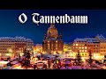 O Tannenbaum 🎄 [German Christmas song][+English translation]