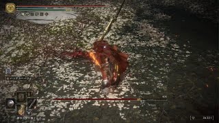 ELDEN RING　マレニアパリィ撃破、エスト無し#2