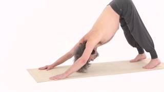 MONTE MERU, DINAMICA 6 – MERU ASANA