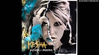 Kesha - The Harold Song [Radio Edit]