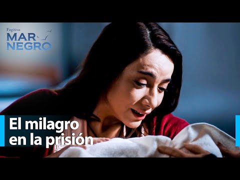 Asiye gave birth to her baby - Black Sea Chapter 123 | Fugitive