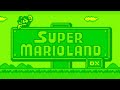 Super Mario Land DX Running On OG Game Boy