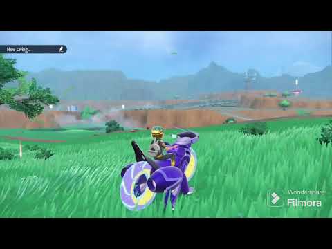 Toxel Pokédex entry