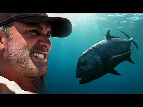 LE GUERRIER DU PACIFIQUE - Cyril Chauquet