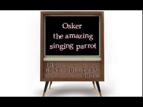 Osker the amazing singing parrot