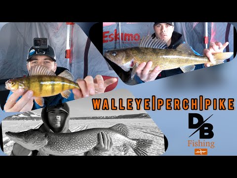 WALLEYE/PERCH/PIKE Crooked Lake (Home of the new world record Cisco!)
