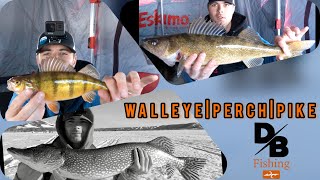 WALLEYE/PERCH/PIKE Crooked Lake (Home of the new world record Cisco!)