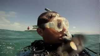 preview picture of video 'Underwater Scuba Commentary:: GoPro :: Im on Vacation!!'