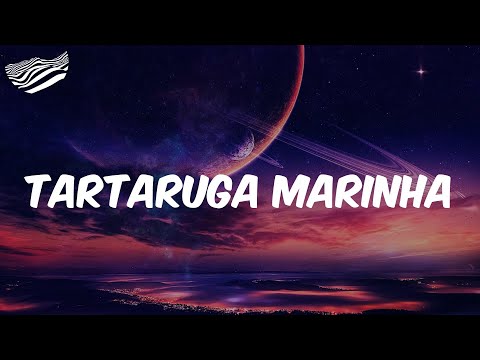 Tartaruga Marinha  (Letra) - DJ BOY