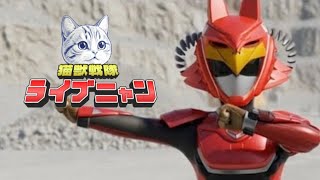 猫が変身する赤い隼のヒーロー的な何か🐱