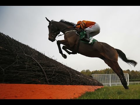 Thistlecrack: A faultless chasing debut