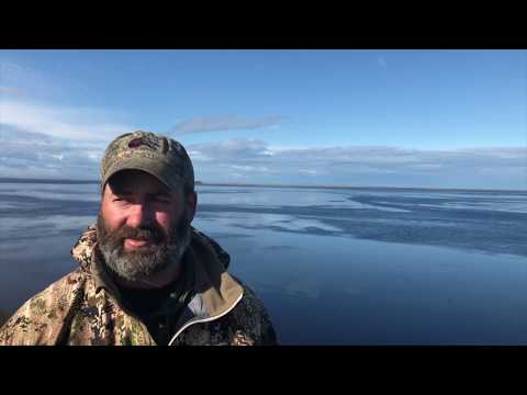 Four Flyways Outfitters Cold Bay Lodge and Hunt Information